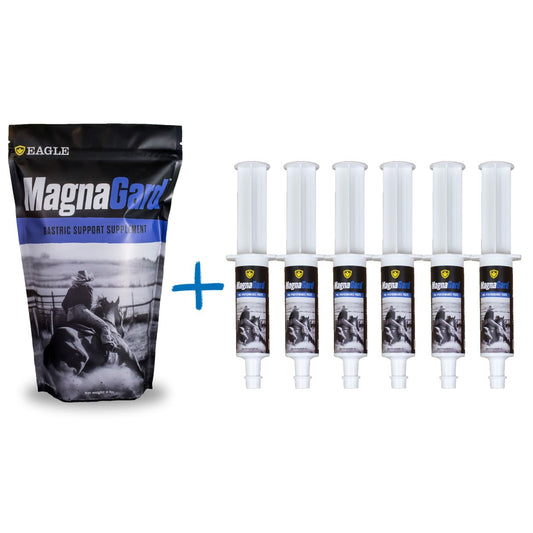 MagnaGard Daily Powder and SIX Tubes of Pre-Performance Calming Paste