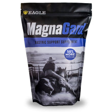 MagnaGard Gastric Support Supplement for Horses