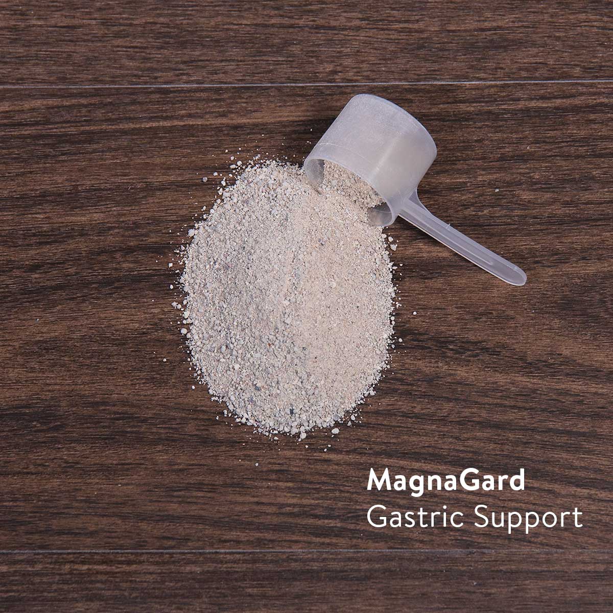 MagnaGard Gastric Support Supplement for Horses