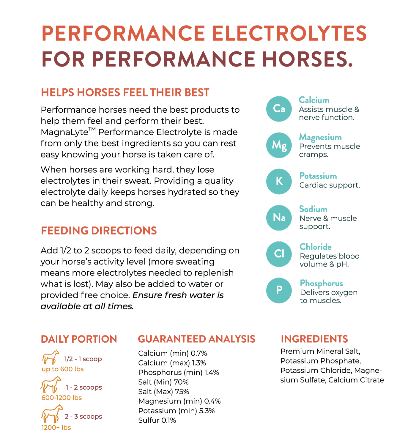 MagnaLyte Performance Electrolyte for horses