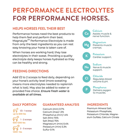 MagnaLyte Performance Electrolyte for horses