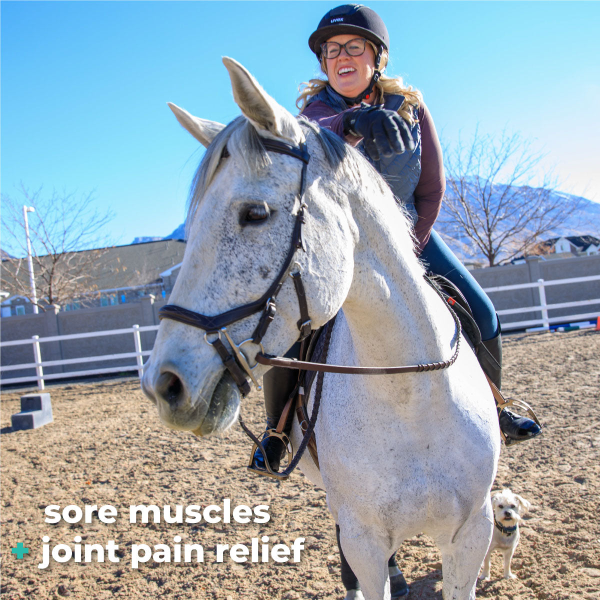 Veterinary Liniment Gel for Horses