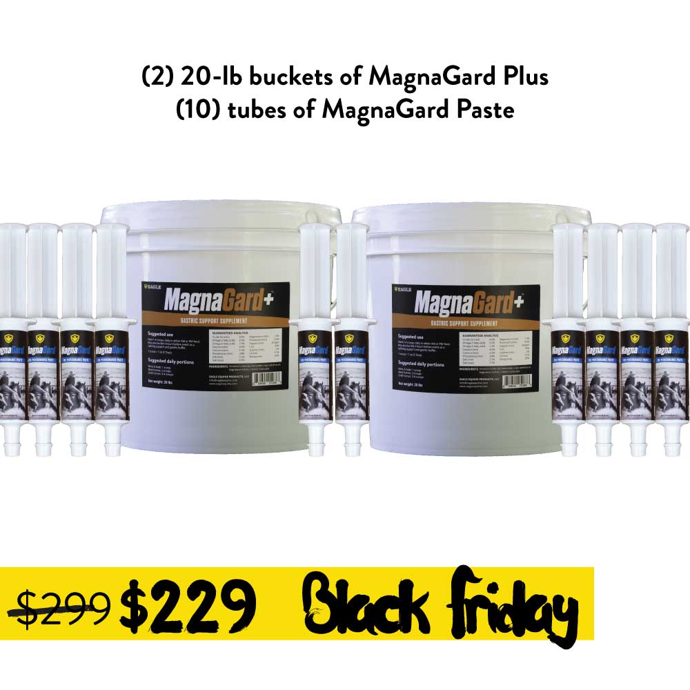 Double Mega Bundle MagnaGard Plus and MagnGard Pre-Performance Paste for Horses