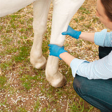 Veterinary Liniment Gel for Horses